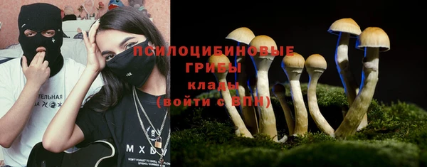 мяу мяу мука Елабуга