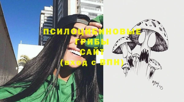 мяу мяу мука Елабуга