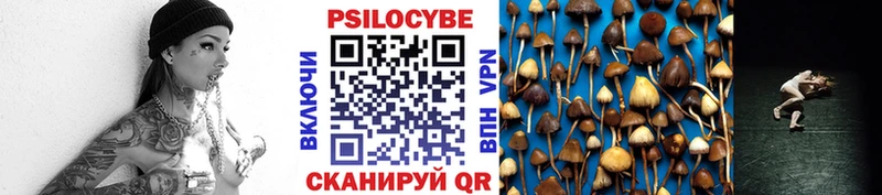 Купить где  Красный Холм  Псилоцибиновые грибы прущие грибы 